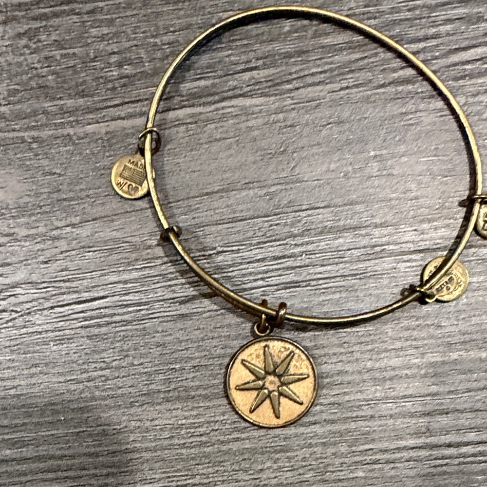 Alex and Ani Gold Compass Charm Expandable Bracelet